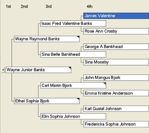 Banks Valentine Pedigree